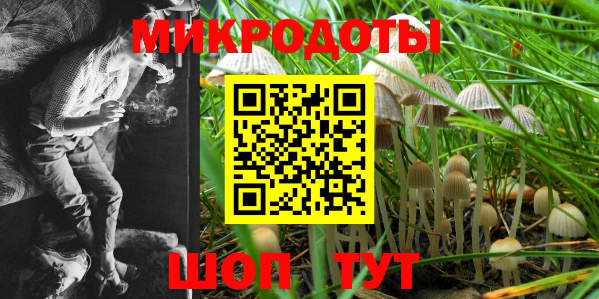 Псилоцибиновые грибы Psilocybine cubensis Куйбышев