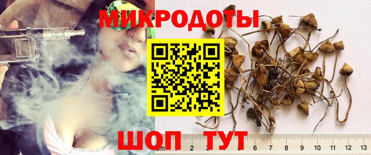 Куйбышев  Галлюциногенные грибы Psilocybe  Галлюциногенные грибы GOLDEN TEACHER  Вход с VPN 